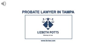 Probate Lawyer in Tampa - Lizbeth Potts