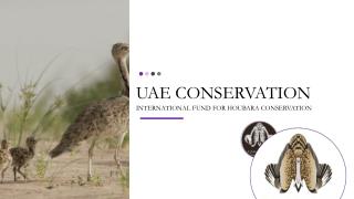 Uae Conservation - Houbarafund.org