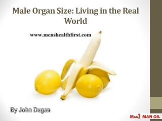 Male Organ Size: Living in the Real World