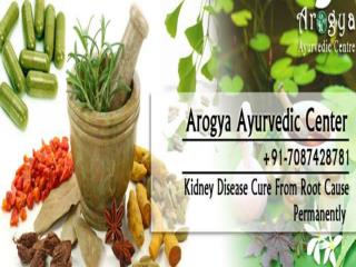 kidney failure treatment- arogyadhamhcc- ayurvedic medicine for kidney stone- chronic kidney disease ayurvedic medicine