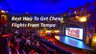 Best Way To Get Cheap Flights from Tampa, Florida
