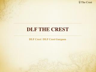 DLF Crest Sector 54 Gurgaon | Crest DLF Gurgaon