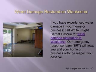 Water Damage Restoration Waukesha