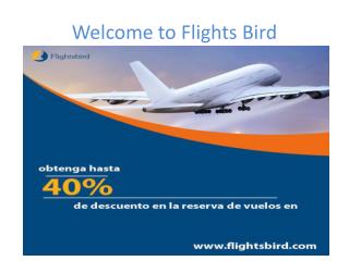 Book Cheap flights Ticket From Miami and Get 40 % OFF