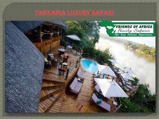 Tanzania Luxury Safari