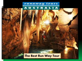 Looking for a professional private day tour company in Sydney?