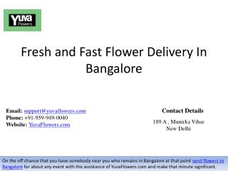 Fresh and Fast Flower Delivery In Bangalore