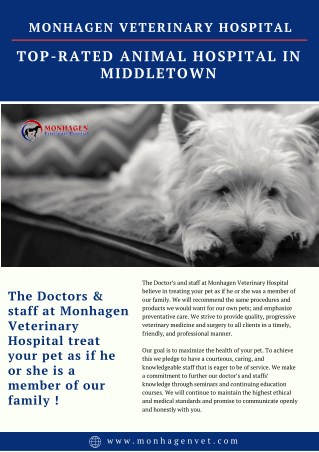 Top-Rated Animal Hospital in Middletown
