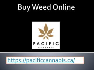 Buy Weed Online - pacificcannabis.ca