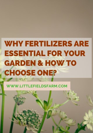 Why Fertilizers Are Essential For Your Garden & How To Choose One?