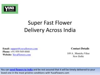 Super Fast Flower Delivery Across India