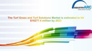Turf Grass and Turf Solutions Market : share, market forecast, analysis and growth research report