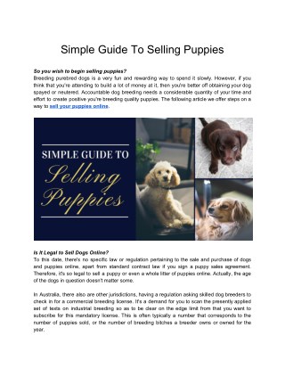 Simple Guide To Selling Puppies