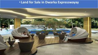 Lands For Sale In Dwarka Expressway