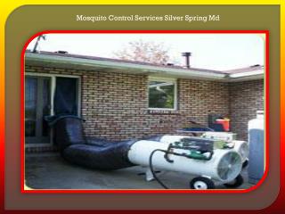 Mosquito Control Services Silver Spring Md