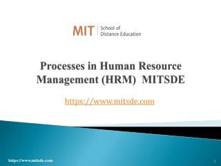 Processes in Human Resource Management (HRM) | MITSDE