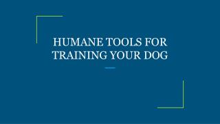 HUMANE TOOLS FOR TRAINING YOUR DOG