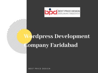 Wordpress Development Company in Faridabad
