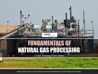 Fundamentals of Natural Gas Processing : Tonex Training