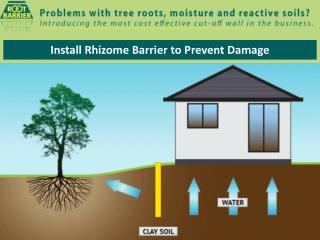 Install Rhizome Barrier to Prevent Damage