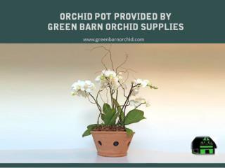 Orchid Pot Shop on Greenbarnorchid.com
