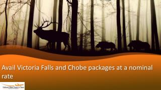 Avail Victoria Falls and Chobe packages at a nominal rate