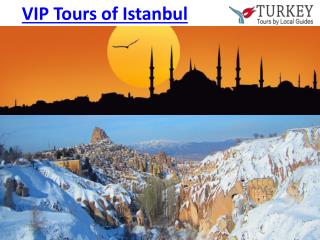 VIP Tours of Istanbul