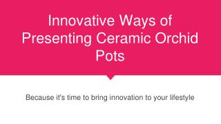 Innovative Ways of Presenting Ceramic Orchid Pots