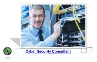 Cyber Security Consultant