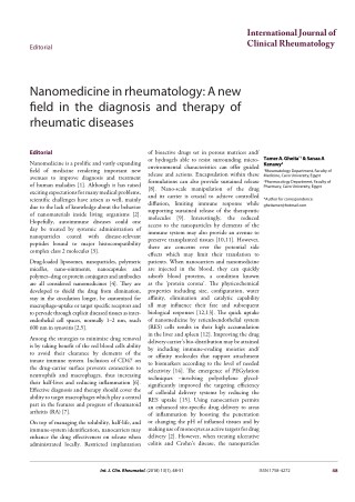 Nanomedicine in rheumatology: A new field in the diagnosis and therapy of rheumatic diseases