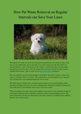 How Pet Waste Removal on Regular Intervals Can Save Your Lawn