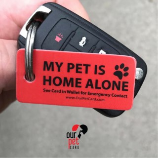 Emergency Pet keyring Tag Could Save Your Pets Life!