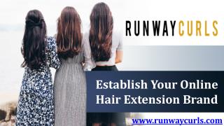 Establish Your Online Hair Extension Brand