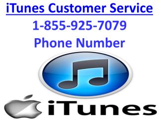 iTunes Customer Service