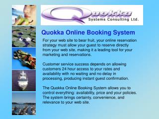 Quokka Online Booking System