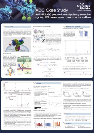 ADC Case Study Anti-HER2 ADC Preparation & Potency Evaluation Against HER2 Overexpression Human Cancer Cell Line