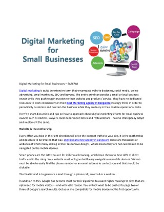 Digital Marketing for Small Businesses – SABERNI