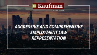 Aggressive and Comprehensive Employment Law Representation