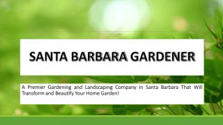 Santa Barbara Best Garden Irrigation System