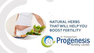 Natural Herbs That Will Help You Boost Fertility