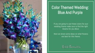 Get the Idea to Use the Orchid Flower in Your Blue and Purple Wedding Theme