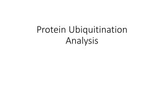 Protein Ubiquitination Analysis