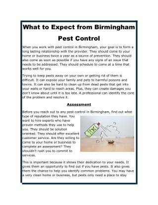 What to Expect from Birmingham Pest Control