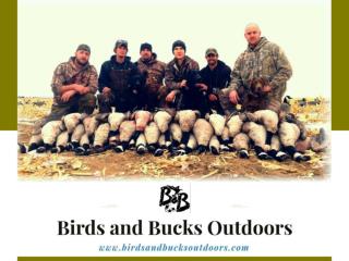 Guided Goose Hunt Colorado