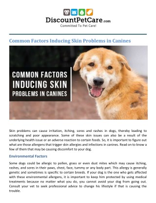 Common Factors Inducing Skin Problems In Canines