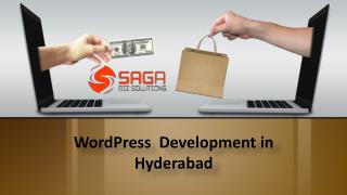 WordPress Development in Hyderabad, Wordpress Website Design Services in Hyderabad – Saga Bizsolutions