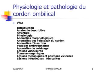 Physiologie et pathologie du cordon ombilical