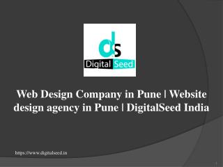 Web Design Company in Pune | Website design agency in Pune | DigitalSeed India