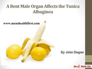 A Bent Male Organ Affects the Tunica Albuginea