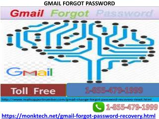 Hurry up! Get profited from our truly beneficial Gmail Forgot Password help 1-855-479-1999